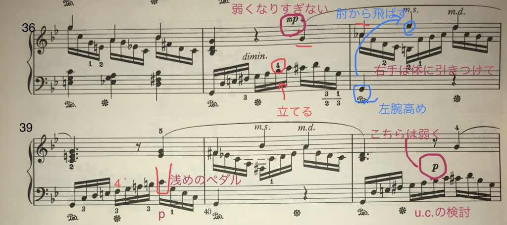 最新アイテム 楽譜 モシュコフスキー 16の技術練習曲作品97